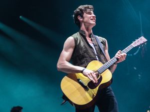 Supporting image for story: Shawn Mendes, Arena Birmingham - review with pictures