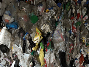 Supporting image for story: Newport school eco team picked for UK-wide discussion on plastic