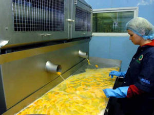 Supporting image for story: Planning rules force egg firm to leave Shropshire