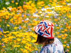Supporting image for story: Day-by-day temperatures for Black Country as extreme heat warning is extended