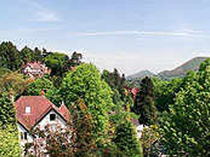 Supporting image for story: Lawyer may decide on village land