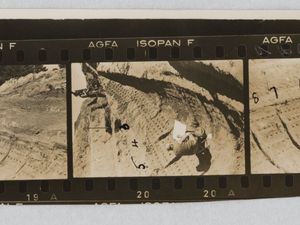 Supporting image for story: Original photographs of 1939 dig go on display at Sutton Hoo