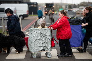 Visitors and dogs arriving at the Birmingham National Exhibition Centre (NEC) for the third day of the Crufts Dog Show. PA Photo. Issue date: Saturday March 7, 2020. See PA story ANIMALS Crufts. Photo credit should read: Jacob King/PA Wire.