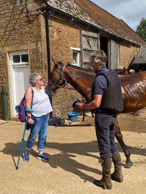 Gentle touches, curious hearts. Stroking the horses alongside Alex Hales was a calming and unforgettable experience for all.