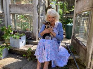 Supporting image for story: Names of King and Queen’s dogs to feature in Chelsea Flower Show garden