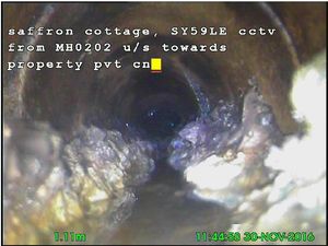 Supporting image for story: Indian restaurant near Shrewsbury fined £9,000 for huge fat blockage