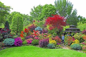 Supporting image for story: Gardeners' world