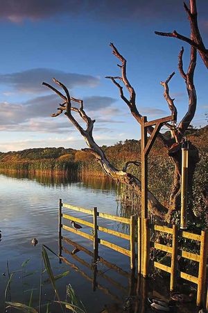 Waldemar Chmielewski's atmospheric photograph of Aqualate Mere National Nature Reserve