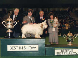 Supporting image for story: From puppy prizes to most popular breeds: We take a look at the Best in Show winners through the years at Crufts