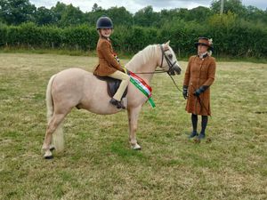 Horses - Champion Suzanne Wooley