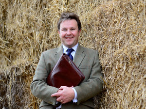 Supporting image for story: Streamlined system is farmers' opportunity