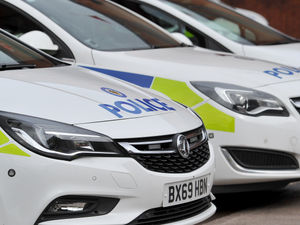 Supporting image for story: Activities galore for police community event