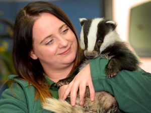 Supporting image for story: Helping hand for animals great and small