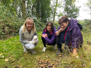 Supporting image for story: New campaign aims to keep adults connected to nature through learning