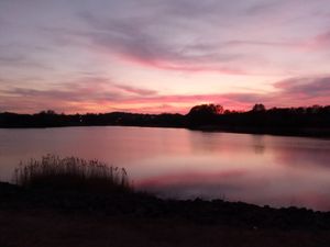 Supporting image for story: Stunning sunset over Telford lake caught on camera