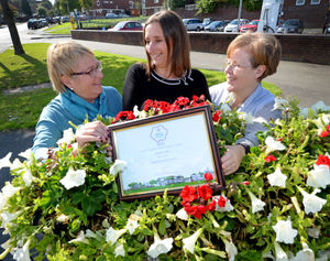 The displays have been scooping awards over the years