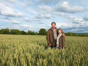 Supporting image for story