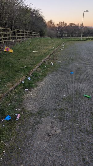 Pictures taken by campaigners of the state of Ludlow's park and ride site. Picture: Ludlow 21