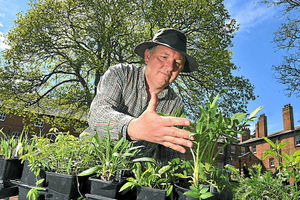 Martin Blow, the organiser of the plant fair at Weston Park, examines some of the specimens
