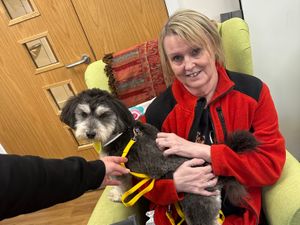 Supporting image for story: Dogs bring smiles to hospice patients 