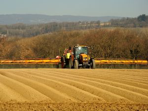 Supporting image for story: One in four show low-level exposure to weed killer glyphosate – study