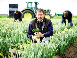 Supporting image for story: Aldi is on the hunt for Shropshire suppliers