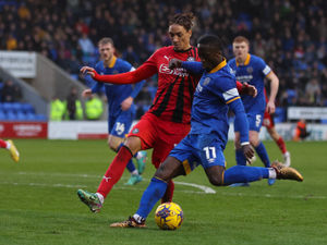 Supporting image for story: Shrewsbury Town to make late call on key man