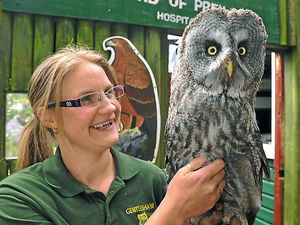 Supporting image for story: Staffordshire wildlife centre faces crucial three months