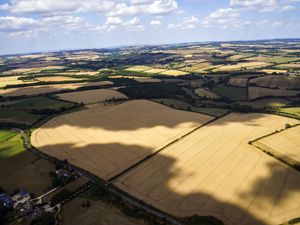 Supporting image for story: British farmers to be given greater protections in future trade deals