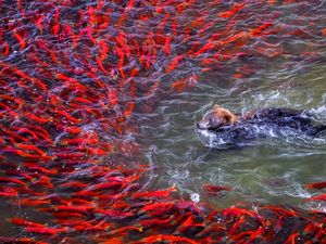 Supporting image for story: Your guide to what's on this Halloween weekend in the West Midlands and Staffordshire