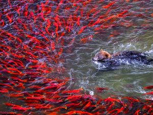 Supporting image for story: Your guide to what's on this Halloween weekend in the West Midlands and Staffordshire