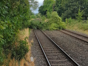Supporting image for story: Train services cancelled and rail replacement buses being prepared after tree falls and blocks line near Hagley