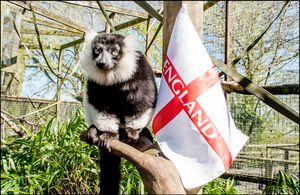 Supporting image for story