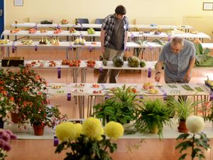 Supporting image for story: Last call for exhibits for Telford horticultural show