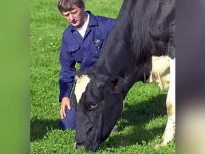 Supporting image for story: 'I see light at end of the tunnel' - Shropshire farmer's cautious optimism