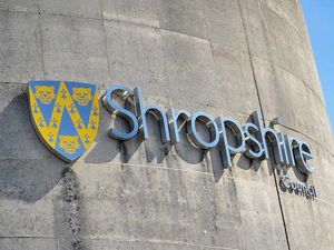 Supporting image for story: Number of children referred for adoption in Shropshire doubles