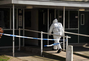 The scene at the Wood House block of flats following the fall