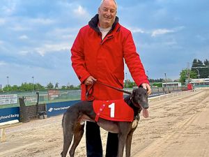 Supporting image for story: Rankin hoping his pups will be stars