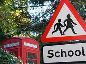 Supporting image for story: Primaries consider academy shake-up