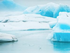 Supporting image for story: Have scientists finally solved the mystery of how complex life first appeared on Earth?