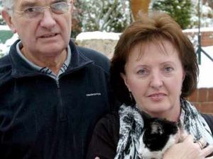 Supporting image for story: Stuck cat rescued after ordeal in pipe