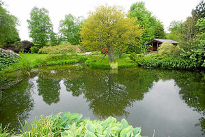 A stunning pond scene at Marehay Farm