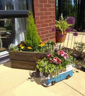 Green-fingered residents join in Chelsea show spirit