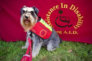 Supporting image for story