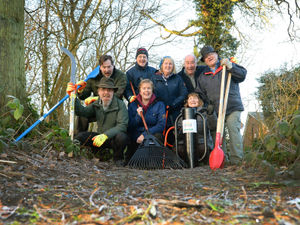 Supporting image for story: First steps taken on new path