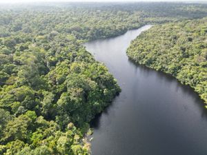 An aerial view of a river, with dense rainforest on either side