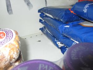 There was evidence of rat droppings and other mess around the butchers