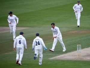 Supporting image for story: Pace ace Mir Hamza joins Warwickshire for county clashes