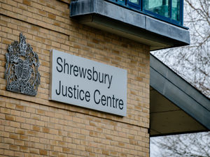 Supporting image for story: Judge records 'not guilty' verdict in case of man accused of killing his ex-partner's kitten