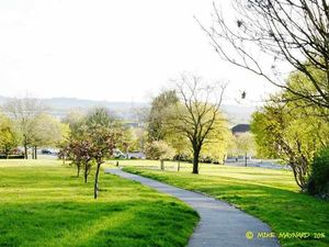 Supporting image for story: Capturing light #photography